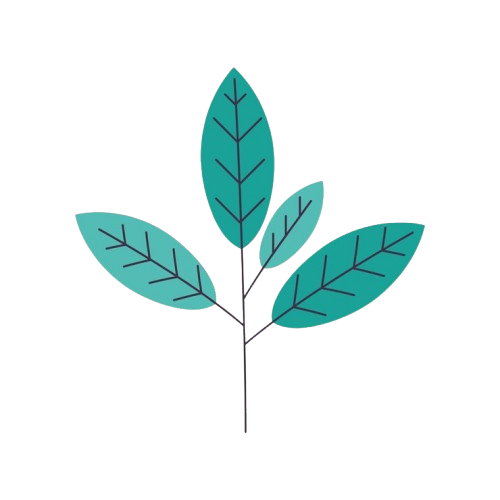 Website Logo